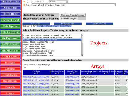 Image could not be found