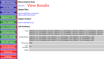 Image could not be found