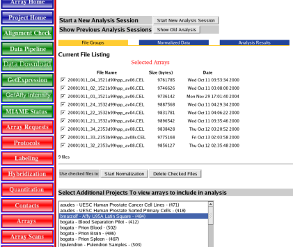 Image could not be found